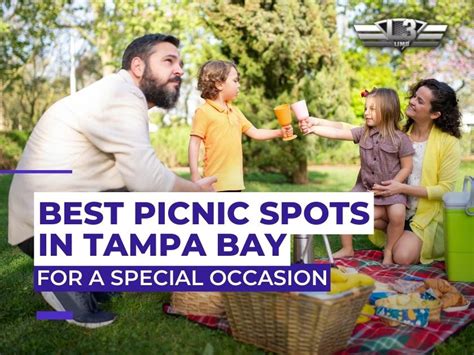 Best Picnic Locations in Tampa Bay For a Special Occasion