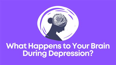 What Happens To Your Brain During Depression Psyfi Tms