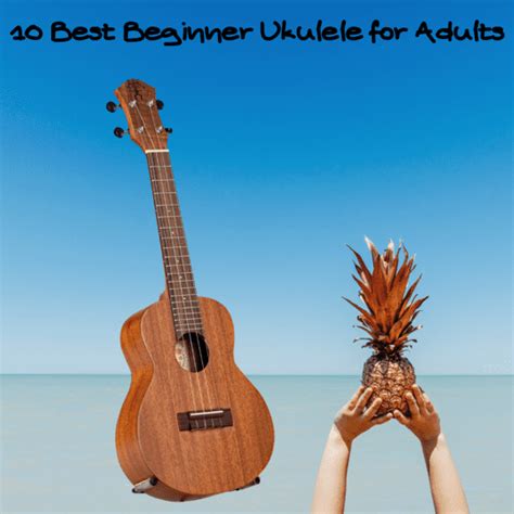 What Is The Best Beginner Ukulele For Adults Find Out Here High