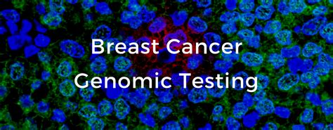 Genomic Testing The Breast Cancer School For Patients