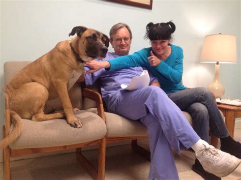 Pauley And David Mccallum With The Ncis Set Dog Phineas Rescued By