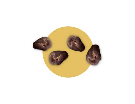 NUD Chocolate Covered Raisins, 6 pack - nud fud inc