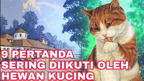 Arti Mimpi Diikuti Kucing Menurut Agama Psikologi Dan Primbon Jawa