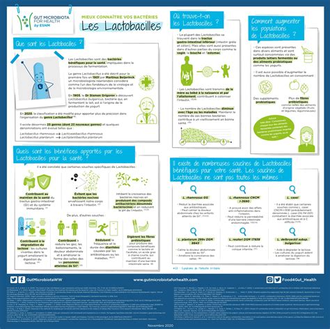 Classification Des Bact Ries Lactiques Pdf