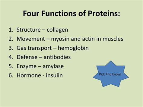 Ppt 74141 Proteins Powerpoint Presentation Id2925437