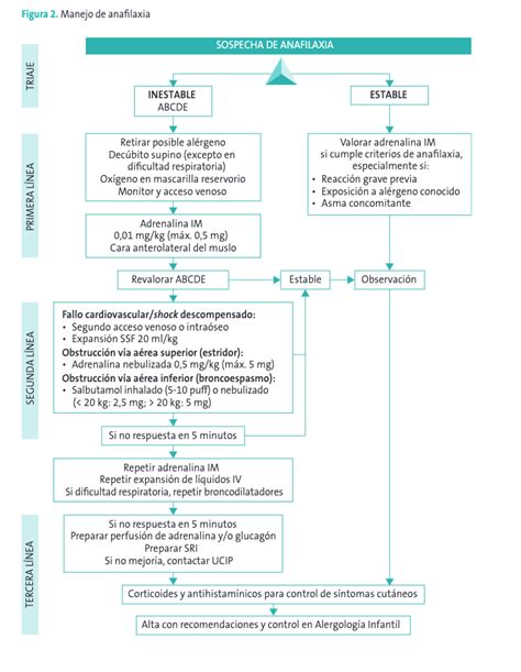 Anafilaxia en Pediatría Protocolo de actuación