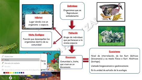 Tema Sistemas Ecologicos Parte I Youtube