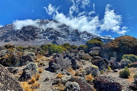 Days Kilimanjaro Climbing Tour Package Via Machame Route In