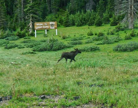 Go Hike Colorado Lake Agnes State Forest State Park