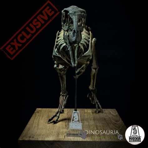 Deinonychus Skeleton: Extinct Fauna of the Mesozoic in Resin Miniature ...