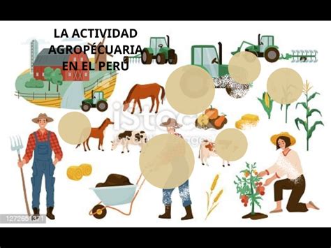 LA ACTIVIDAD AGROPÉCUARIA EN EL PERÚ by mayra rocisela ñaupa condori