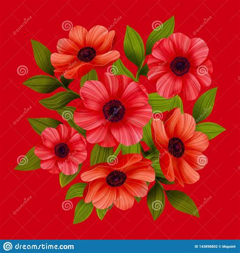 Flores Amapolas Rojas En Fondo Rojo Ilustraci N Del Vector Ilustraci N