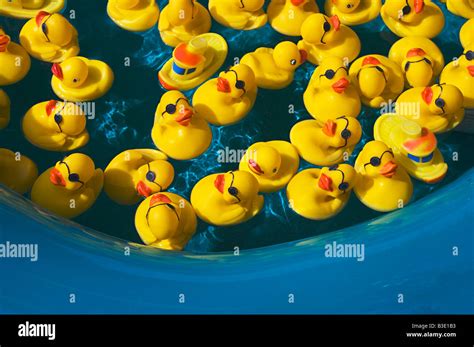 Plastic ducks hi-res stock photography and images - Alamy