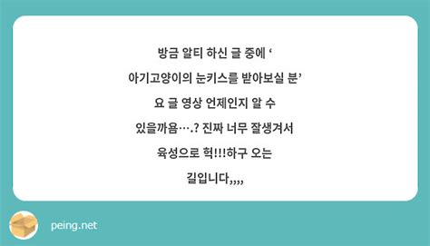 방금 알티 하신 글 중에 ‘ 아기고양이의 눈키스를 받아보실 분 요 글 영상 언제인지 알 수 Peing 質問箱