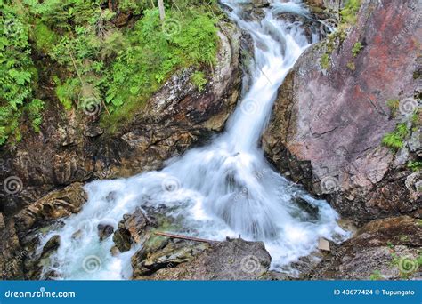 Polen Natur Stockfoto Bild Von Park Polen Nave Wasserfall 43677424