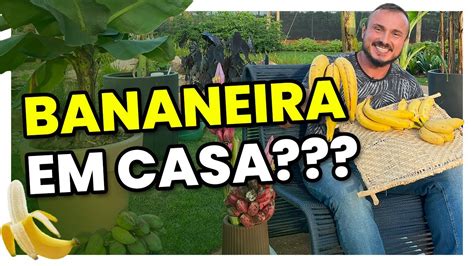 Como Plantar Bananeira E Cultivar Banana Em Vaso Youtube