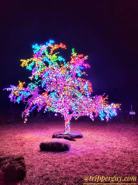 Best Christmas Lights in Lee's Summit » FEST-Festivals, Events, Seasons