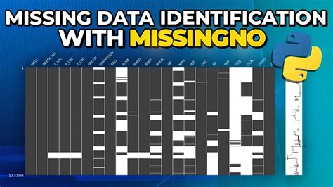 How To Visualize Missing Data In Python With Missingno