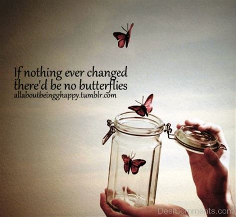 If Nothing Ever Changed Thered Be No Butterflies Desicomments