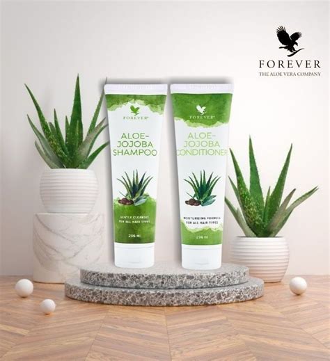 El gel estabilizado de Aloe Vera principal ingrediente del Champú Aloe