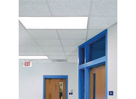 Usg Fissured Acoustical Ceiling Panels Shelly Lighting