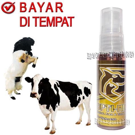 Optimax Obat Kutu Sapi Kambing Kerbau Basmi Parasit Caplax Tungau