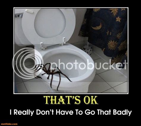 hell-spider-spider-toilet-scary-scared-creepy-demotivational-posters-1359219803_zps861dbcdf.jpg ...