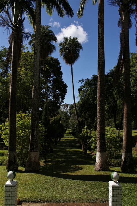 VolcanicDegassing | The Botanic Gardens of St Vincent and the Grenadines