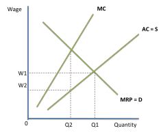 The Labour Market Microeconomics Flashcards Quizlet