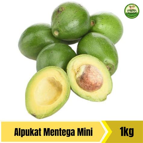 Jual Alpukat Mentega Mini 1kg Shopee Indonesia