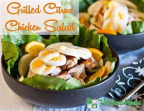 Grilled Citrus Chicken Salad Recipe Wellness Mama