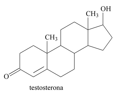 Testosterona Blog Artigos Sobre Nutri O E Sa De Andreia Torres