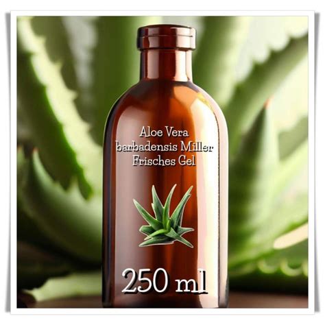 Frisches Aloe Vera Gel Ml Online Bestellen Aloeveraland At