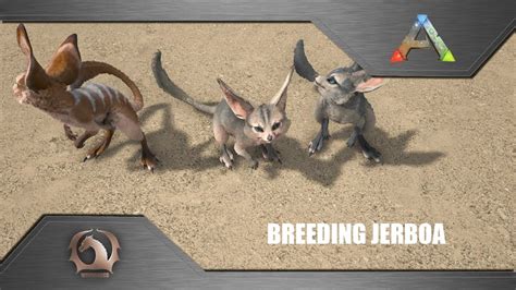 Ark Survival Evolved Breeding Jerboa Youtube