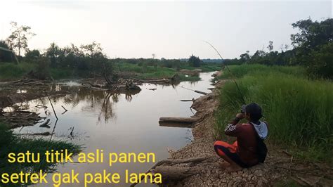 Mancing Di Satu Titik Banjir Setrek Kanal Hampir Kering Tempat Ikan