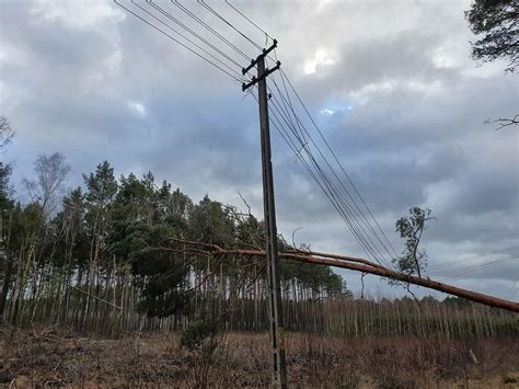 Wichury w Lubuskiem Powalone drzewa zniszczone samochody i brak prądu