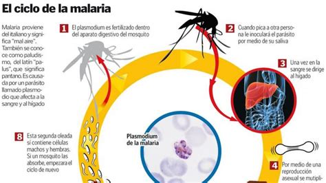 El número de casos de malaria se ha duplicado en España