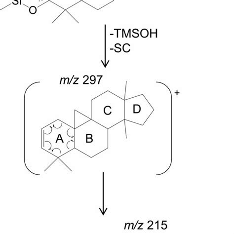 Proposed Formation Of M Z 215 In The Case Of Silylated Download Scientific Diagram