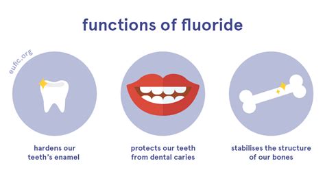 Fluoride Foods Functions How Much Do You Need More Eufic