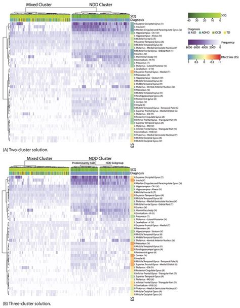 Cross Diagnosis Structural Correlates Of Autistic Like Social