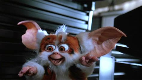 Daffy Gremlins Wiki Fandom