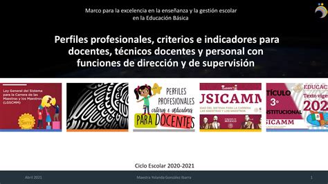 PERFILES PROFESIONALES CRITERIOS E INDICADORES PARA DOCENTES Dominio