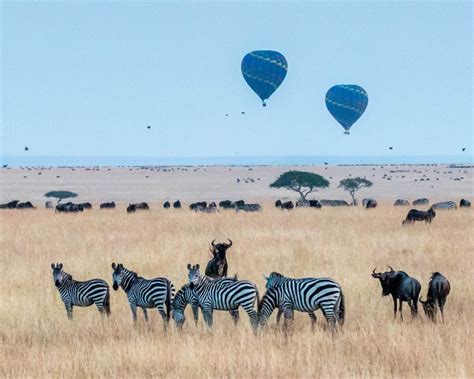 Choosing an African Safari For The Ultimate Experience - Book It Lets Go