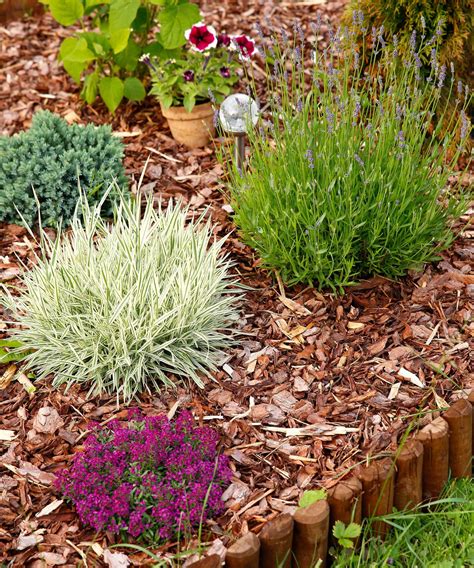 How To Keep Weeds Out Of Flower Beds Clever Ways To Reduce Garden