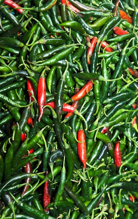 Fresh Chili Pepper In Different Colors At The Herb Market Stock Image