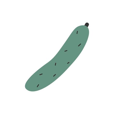 Doodle Cucumber Vector Clipart Of Gherkin Vegetable 12346222 Vector