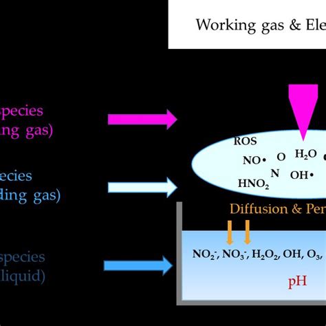 Schematic Diagram Of The Synthesis Mechanisms For Plasma Liquid