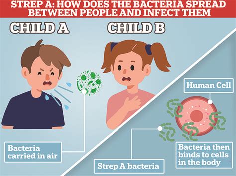 What Is Strep A What Are The Symptoms Can Infection Cause Scarlet