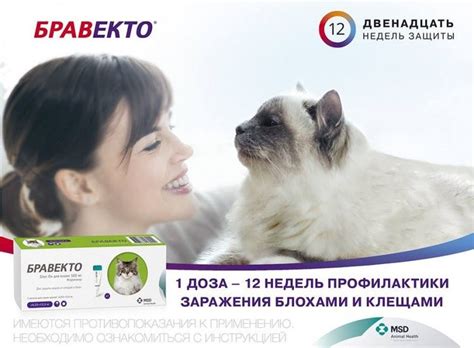 Таблетки от блох для кошек бравекто — флураланер аналог