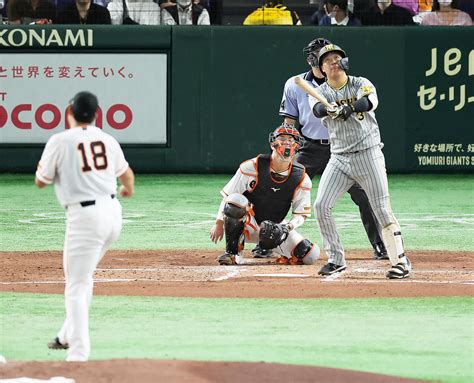 【阪神】大山悠輔が先制10号ソロ 岡田監督以来、生え抜き7人目の6年連続の2ケタ本塁打 プロ野球写真ニュース 日刊スポーツ